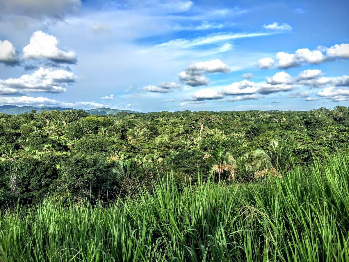 Хостел Selina Santa Teresa North Playa Santa Teresa  Экстерьер фото